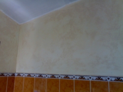 Finition des murs  faience